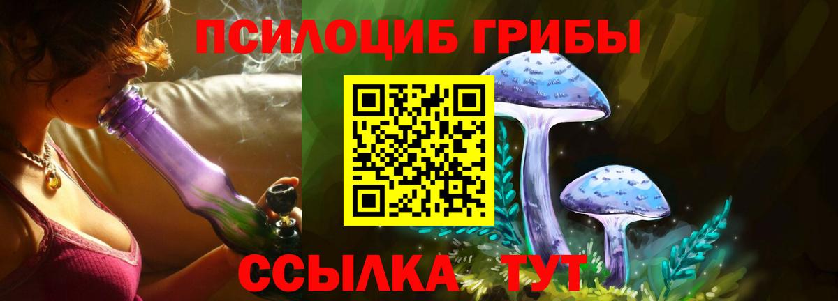 Элиста  хочу   Галлюциногенные грибы Psilocybe  Вход с VPN  Псилоцибиновые грибы MAGIC MUSHROOMS 